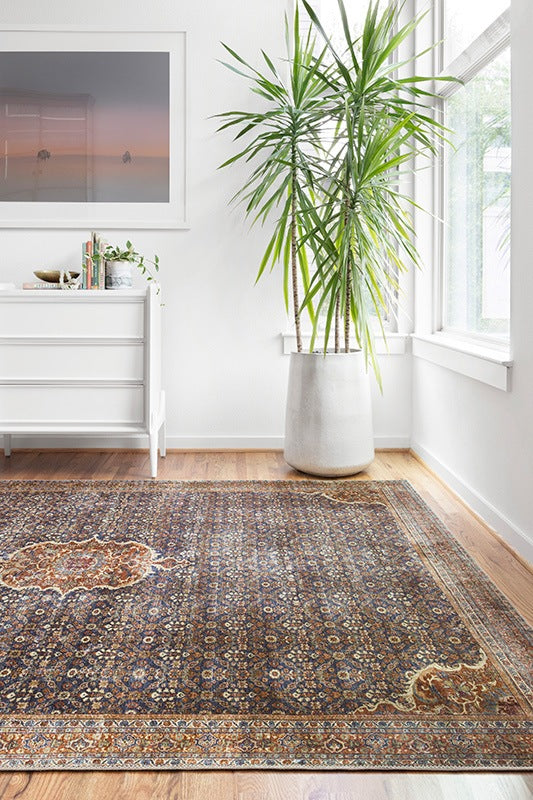 Frances Fra-09 Cobalt Blue / Spice Room