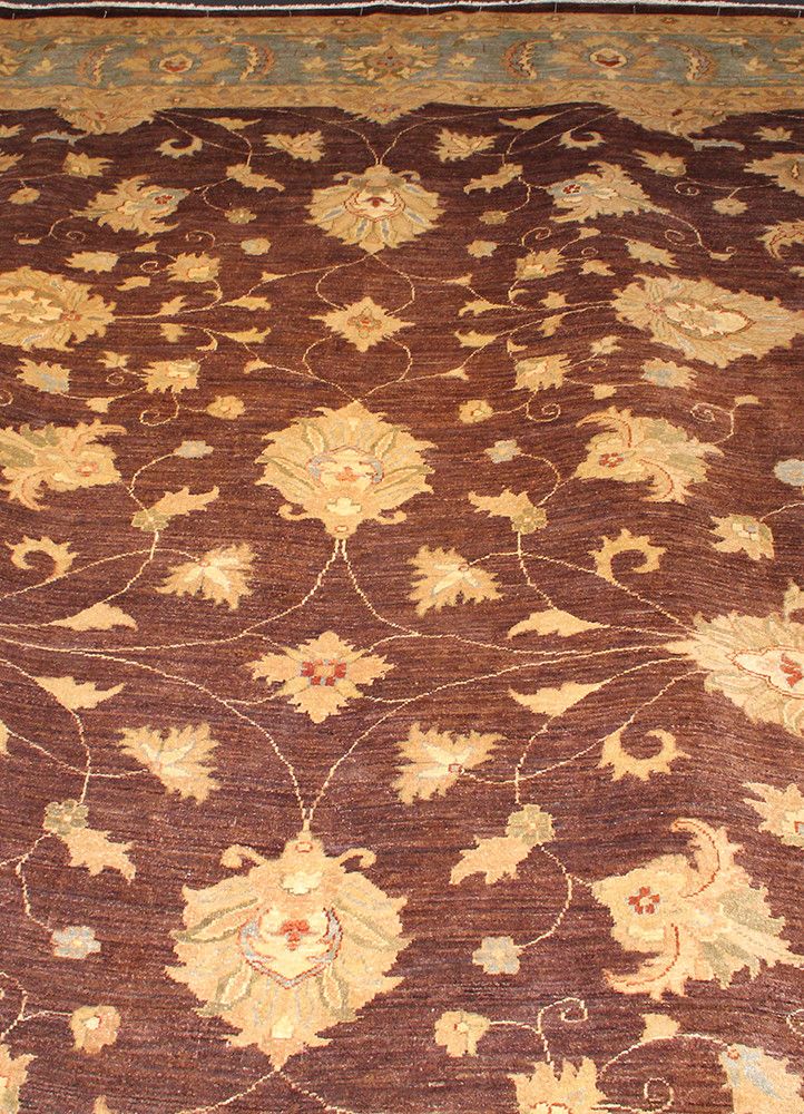 Chobi AG-20024361, Pakistan