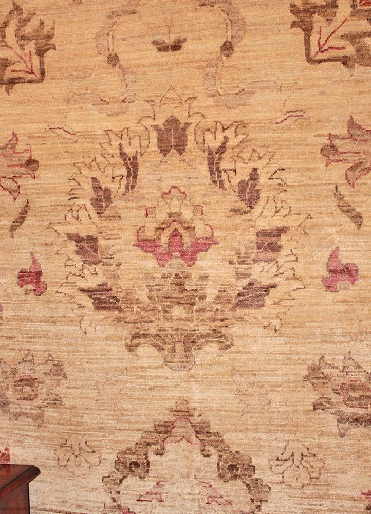 Chobi AG-20025764, Pakistan