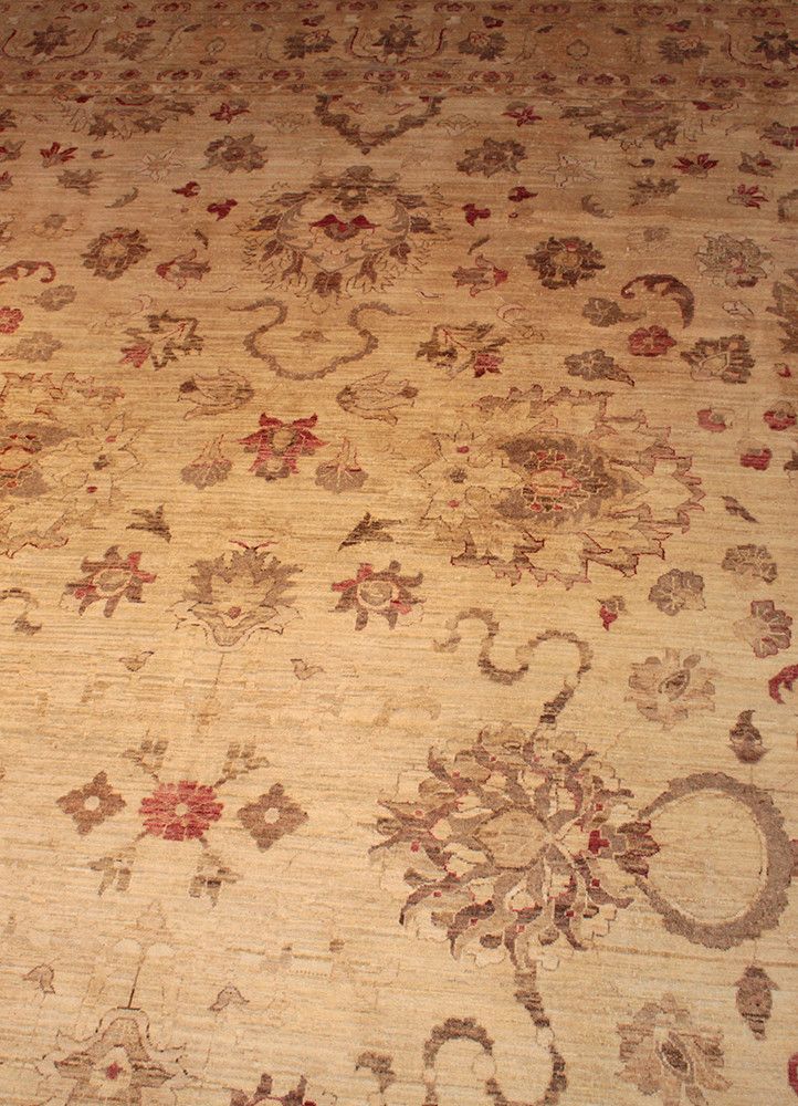 Chobi AG-20025764, Pakistan