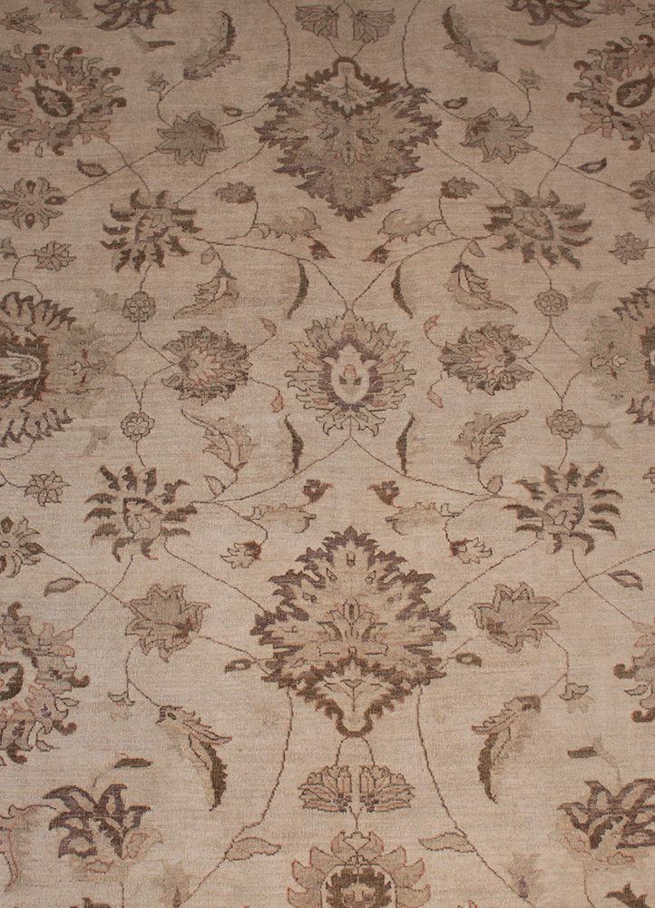 Khyber Pass AG-20026408, Pakistan