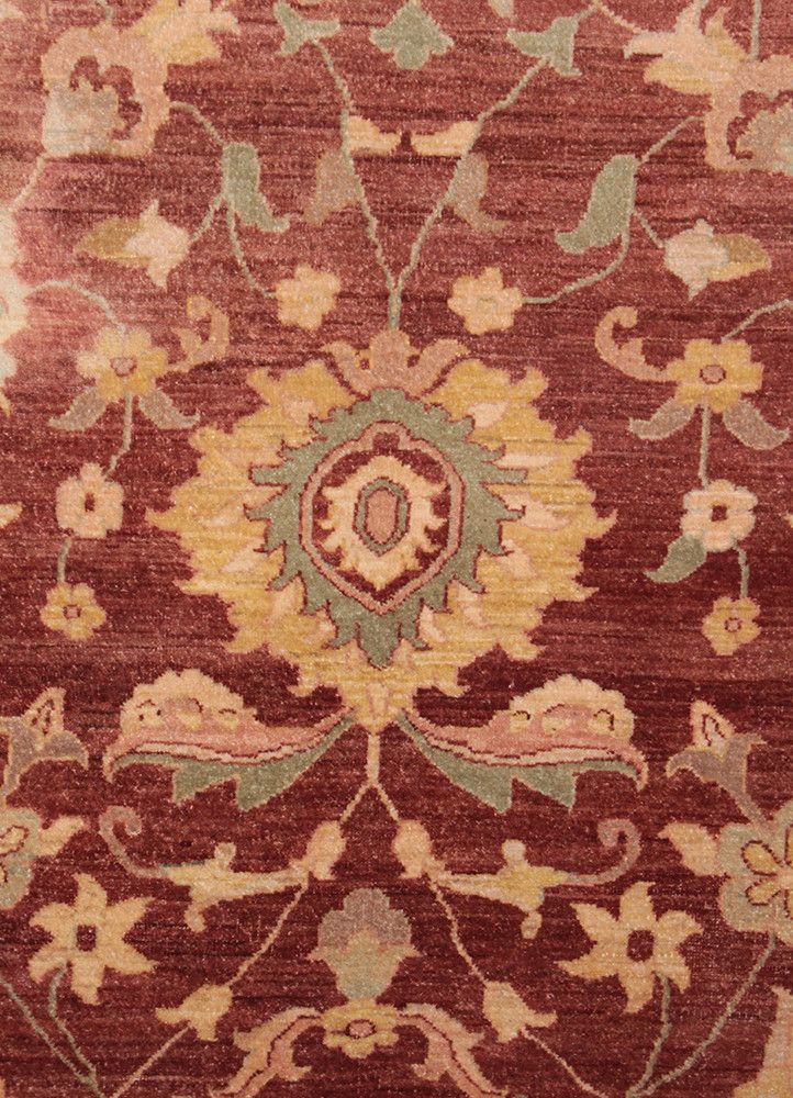 Peshaver JB-40003390, Pakistan