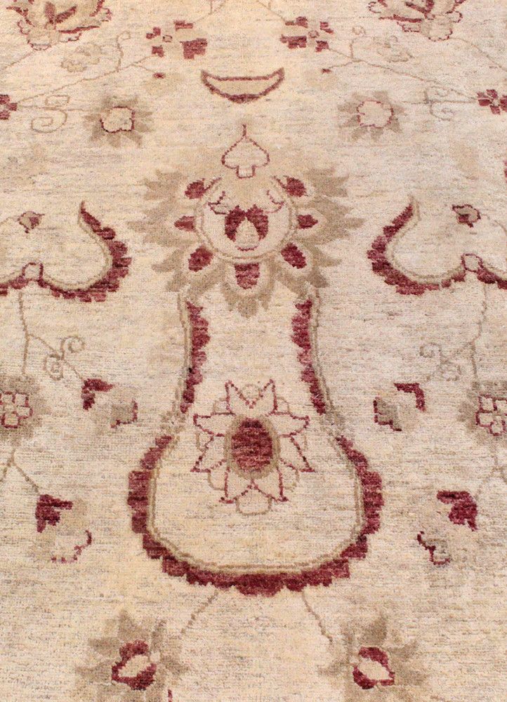 Peshaver TAN-80017808, Pakistan