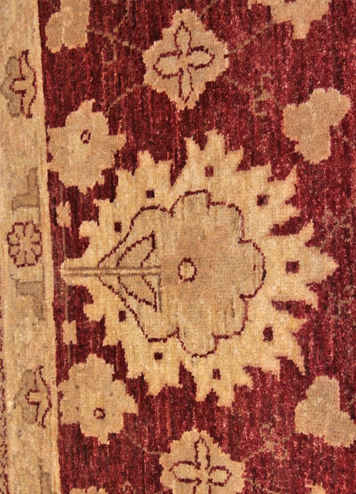 Peshaver TAN-80017808, Pakistan