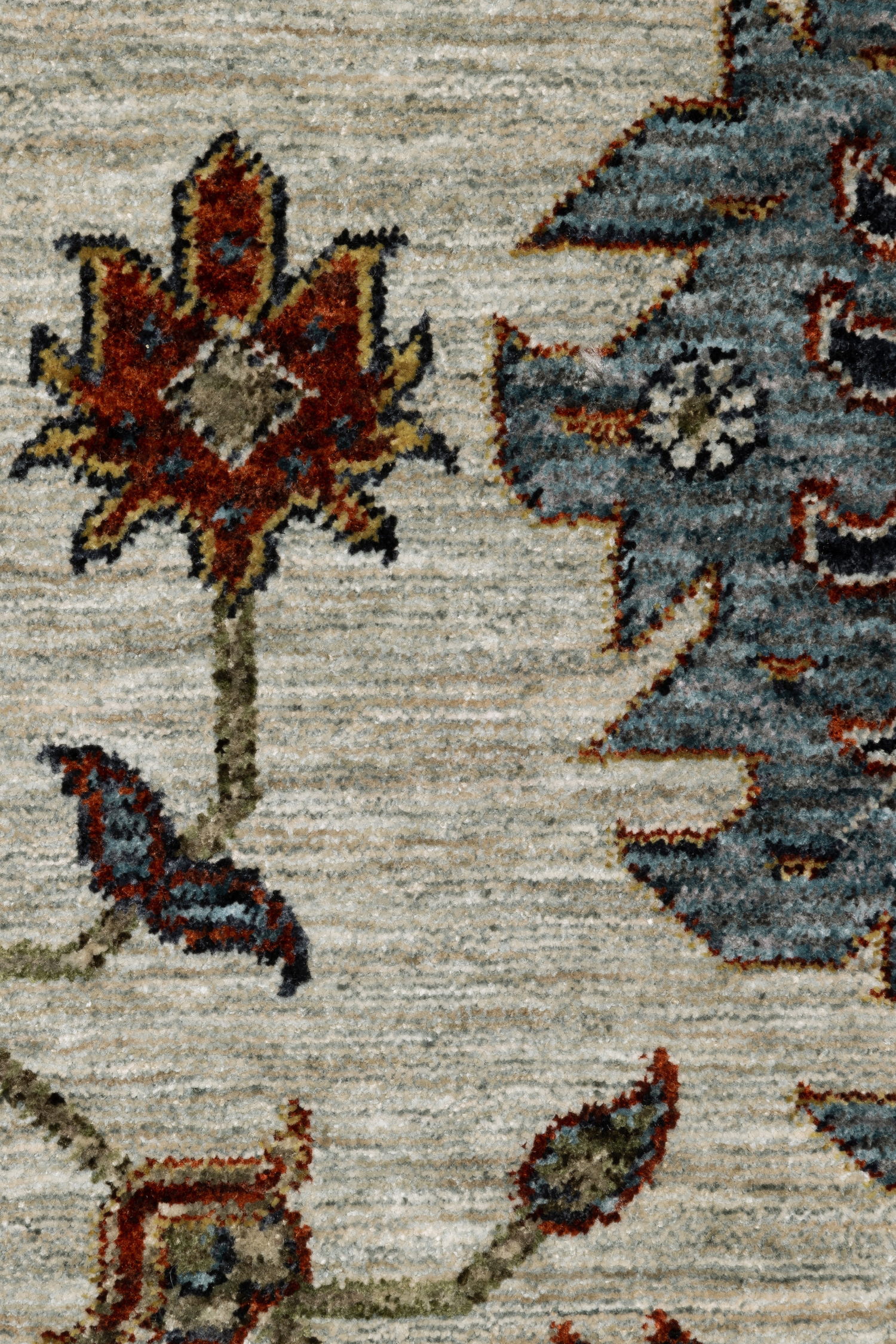 Pierre 751W1 CloseUp