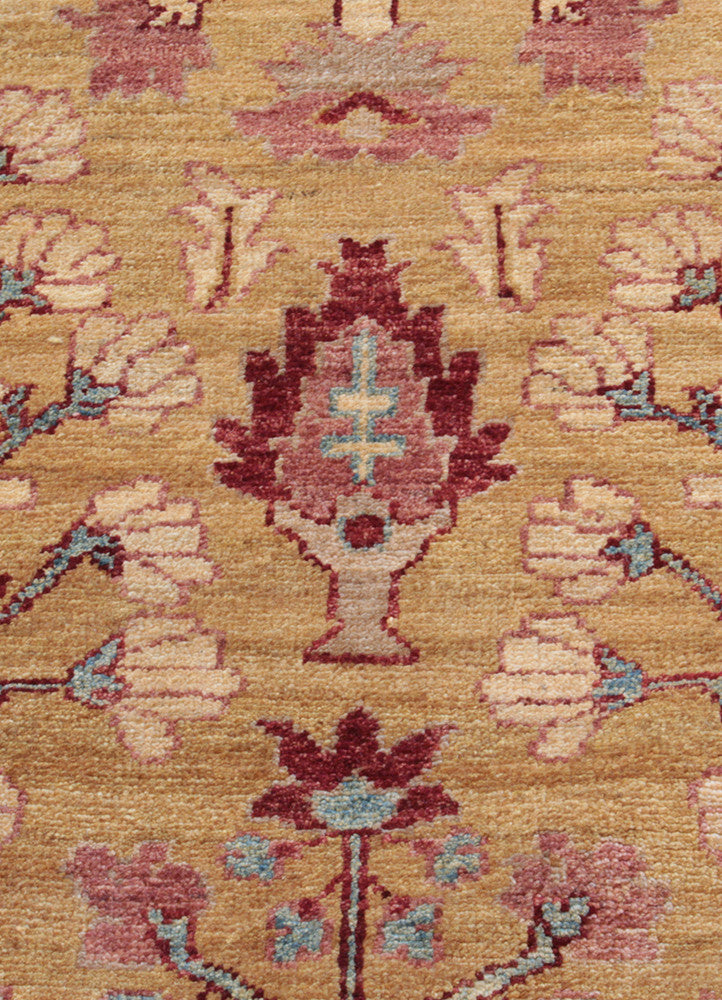 V238 AG-20002415, Pakistan