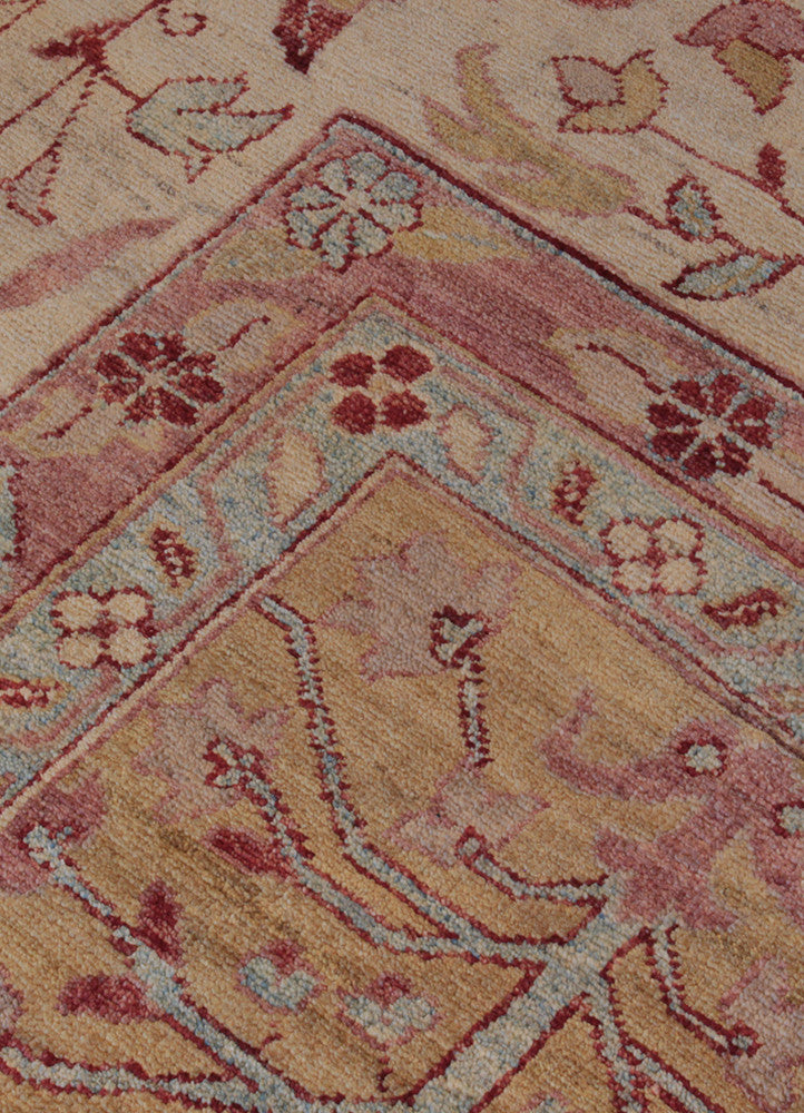 V238 AG-20002415, Pakistan