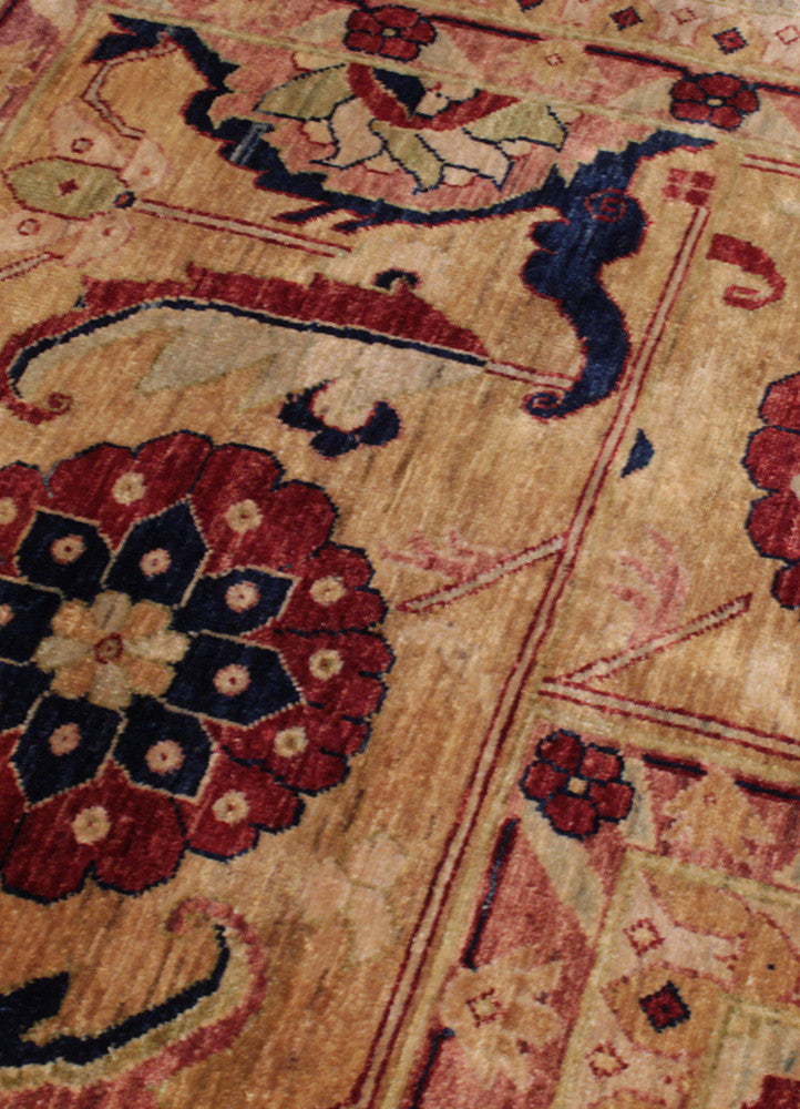 Vegi AG-20002416, Pakistan