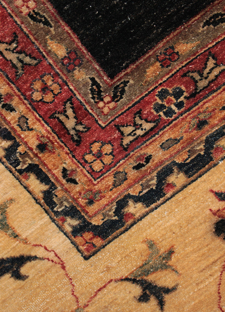 Ziegler JB-80002989, Pakistan