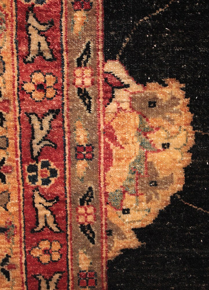 Ziegler JB-80002989, Pakistan