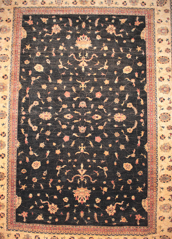 Ziegler JB-80002989, Pakistan