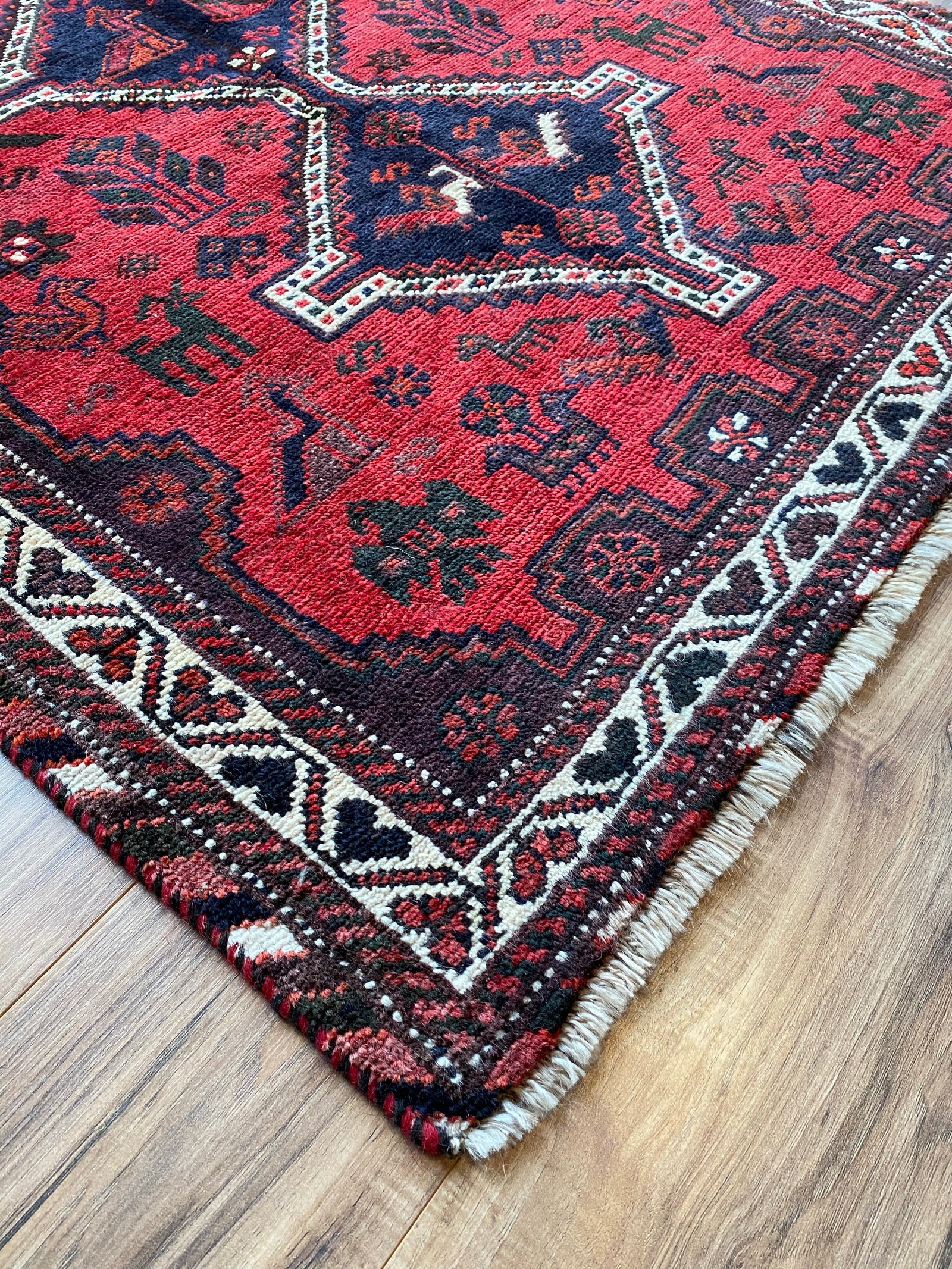 Persian Shiraz 90030536