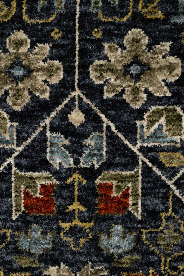 Pierre 006B1 CloseUp