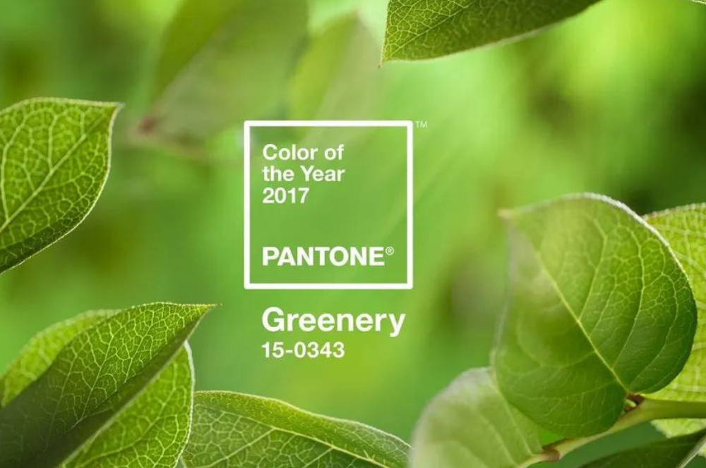 Decorating with “Greenery” the Pantone Color of the Year