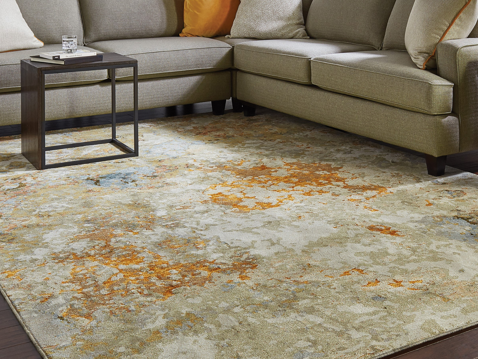 Evolution Collection