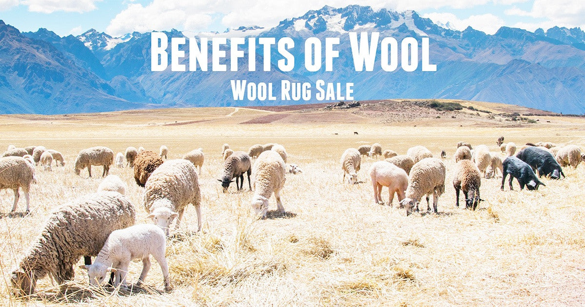 Wool Rugs