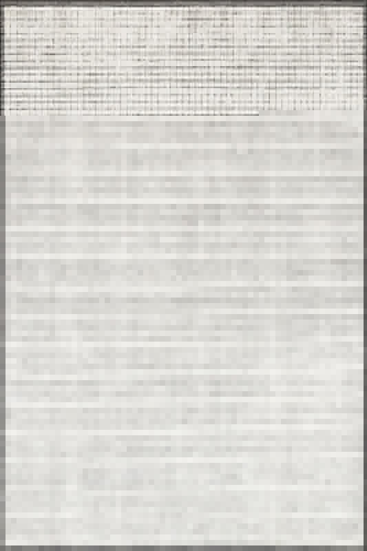 Beverly Bev-01 Ivory / Black