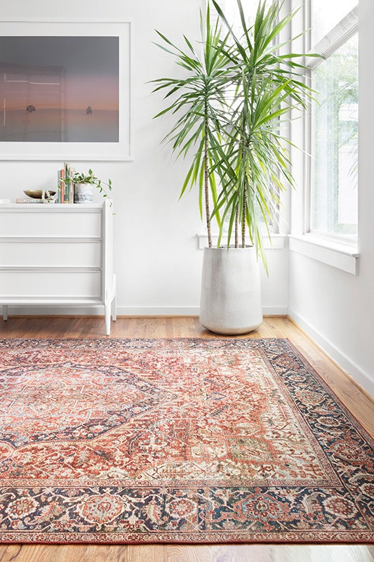 Frances Fra-08 Red / Navy Room