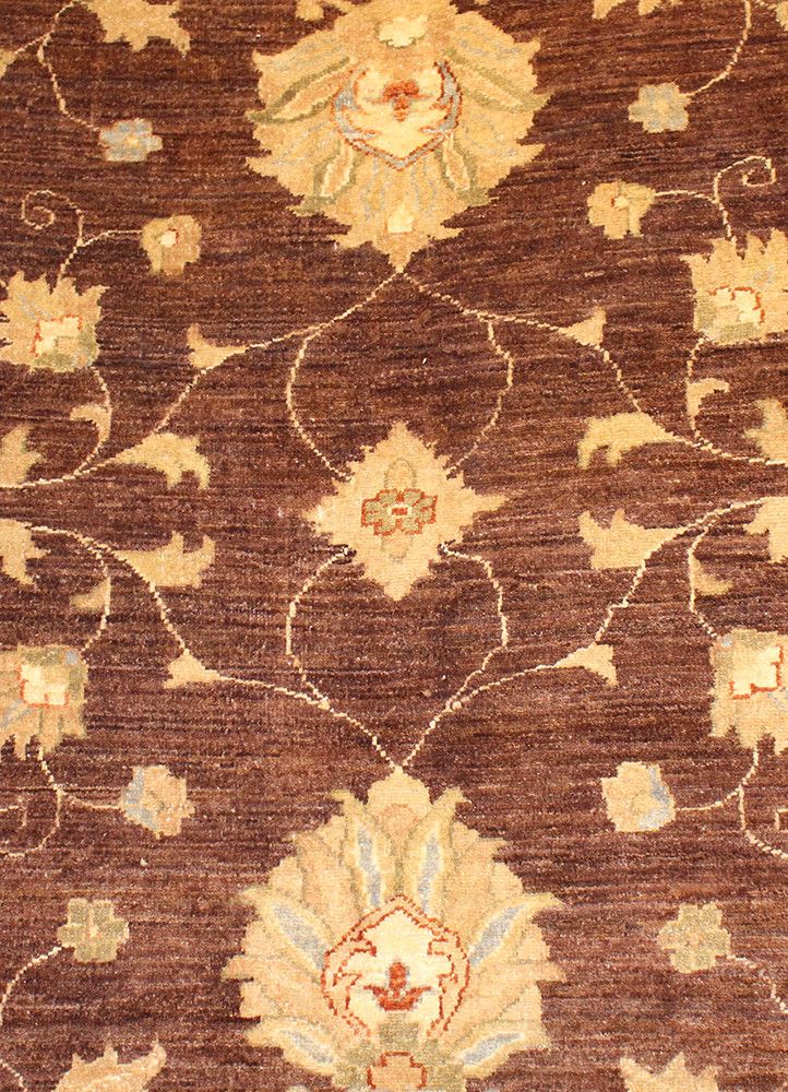 Chobi AG-20024361, Pakistan