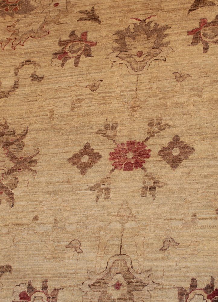 Chobi AG-20025764, Pakistan