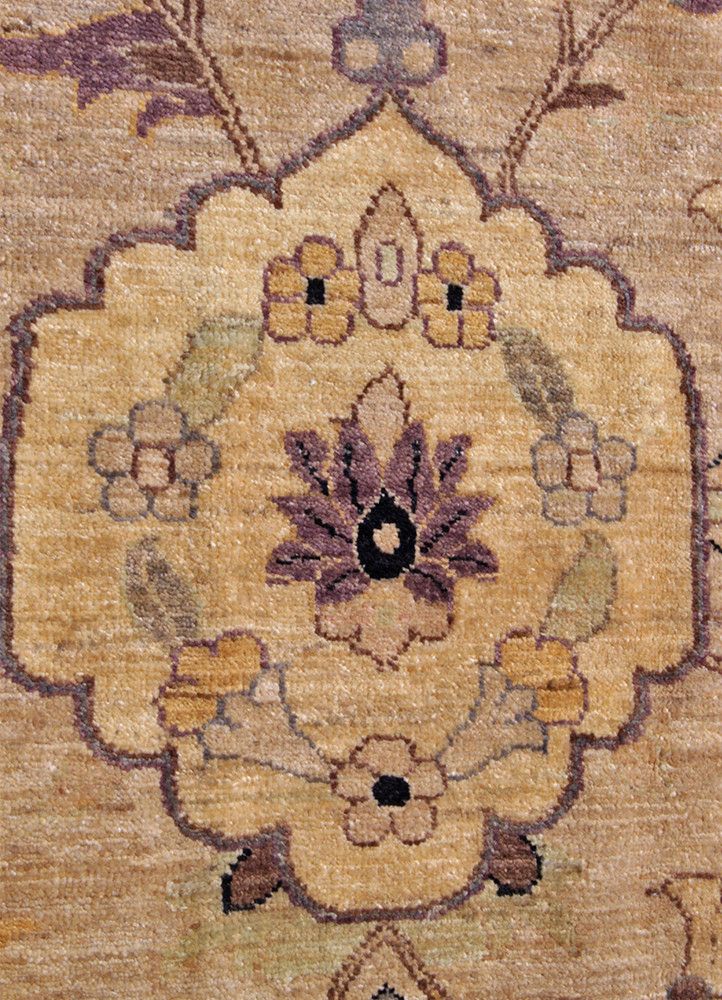 FD41 WV-20016396, Pakistan