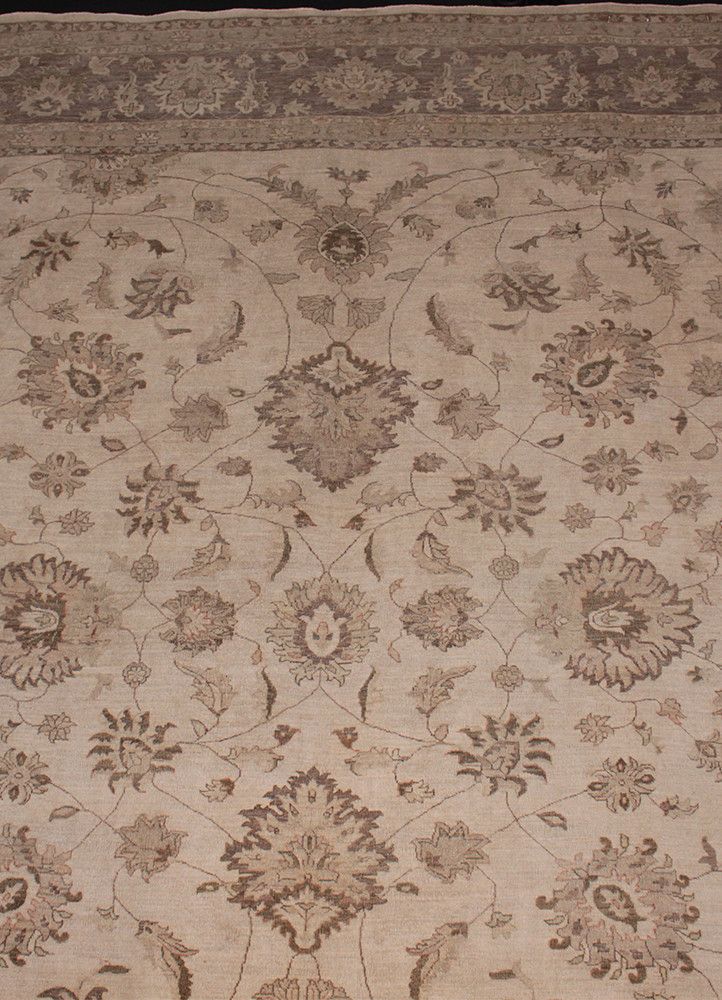 Khyber Pass AG-20026408, Pakistan