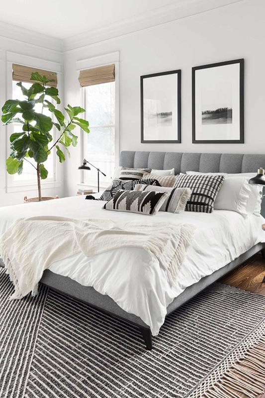 Newton Net-01 Charcoal/Ivory Style