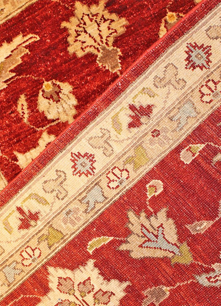 Peshaver/Peshawar TAN80006167 Pakistan