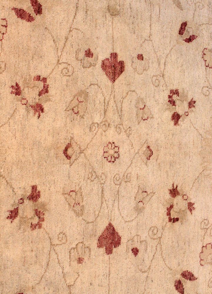 Peshaver TAN-80017808, Pakistan