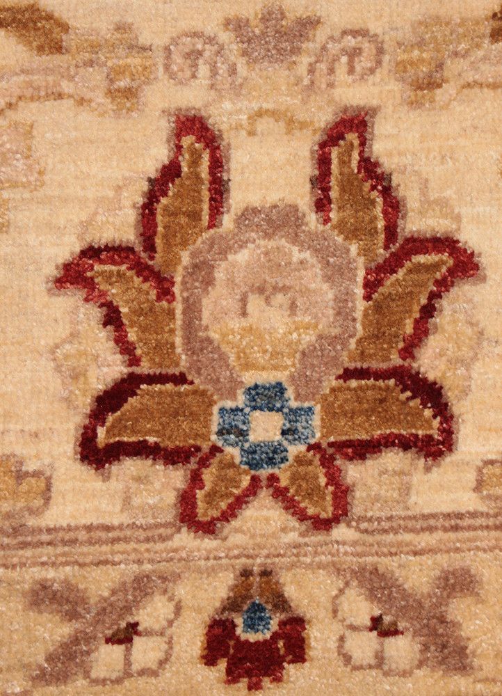 Peshaver TAN-80017811, Pakistan