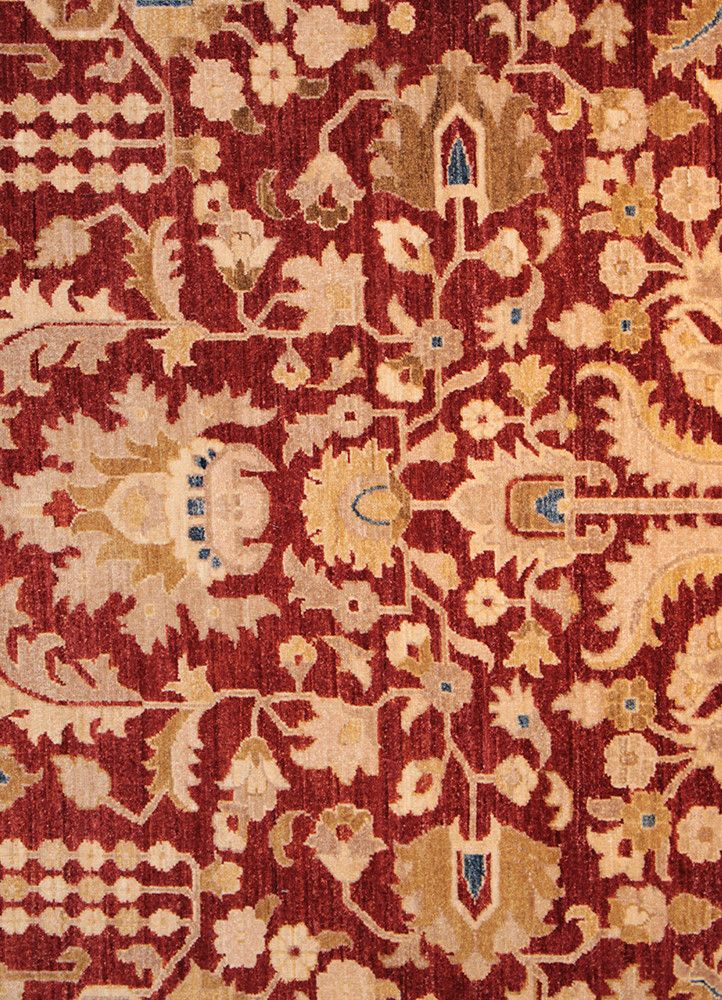 Peshaver TAN-80017811, Pakistan