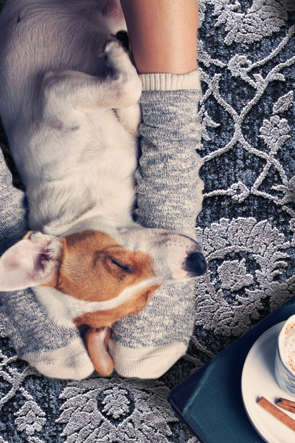 Torino 3327-500 Navy