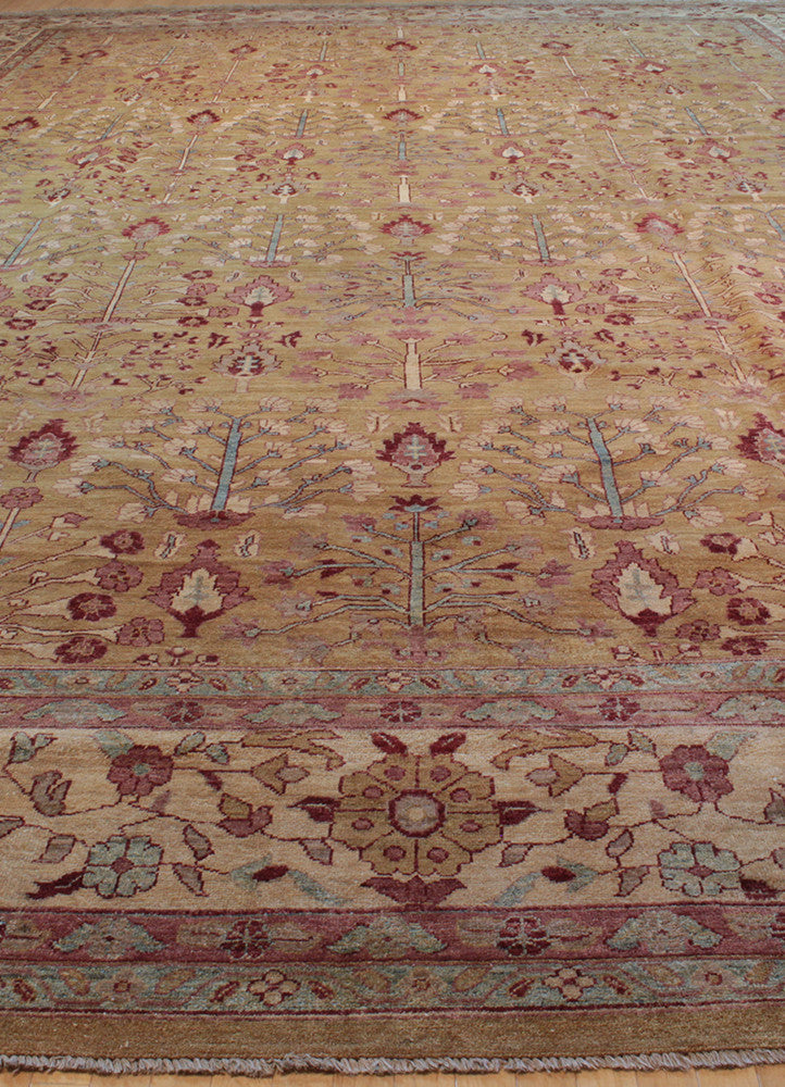 V238 AG-20002415, Pakistan