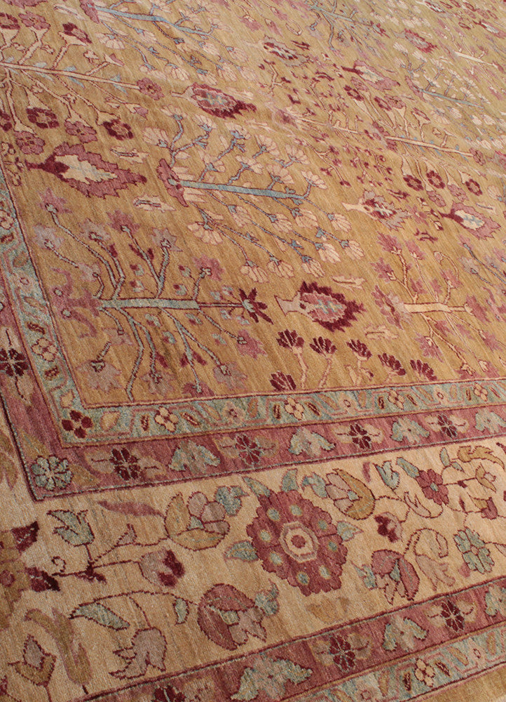 V238 AG-20002415, Pakistan