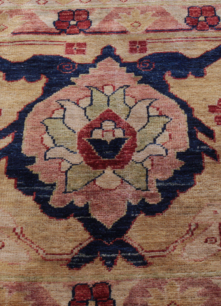 Vegi AG-20002416, Pakistan