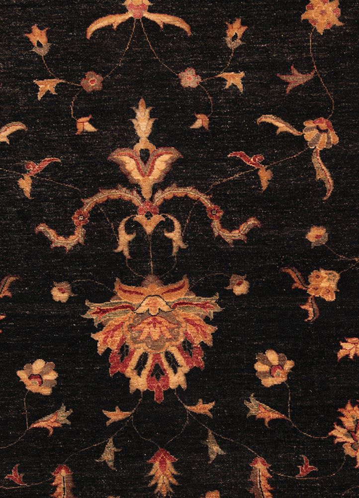 Ziegler JB-80002989, Pakistan